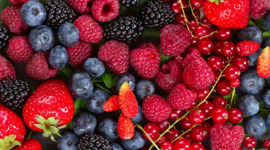The Berry Bonanza: Unlocking the Health Benefits of Berries