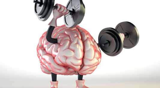 Unveiling the Brain's Best Allies: Essential Vitamins and Minerals