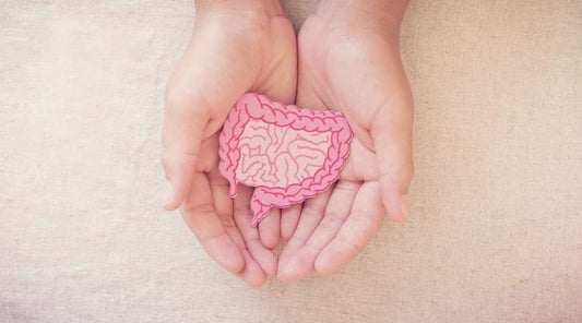 The Role of Colon Health Supplements in Your Journey to a Healthier You