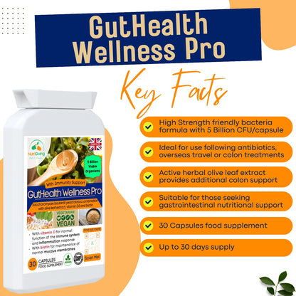 GutHealth Wellness Pro