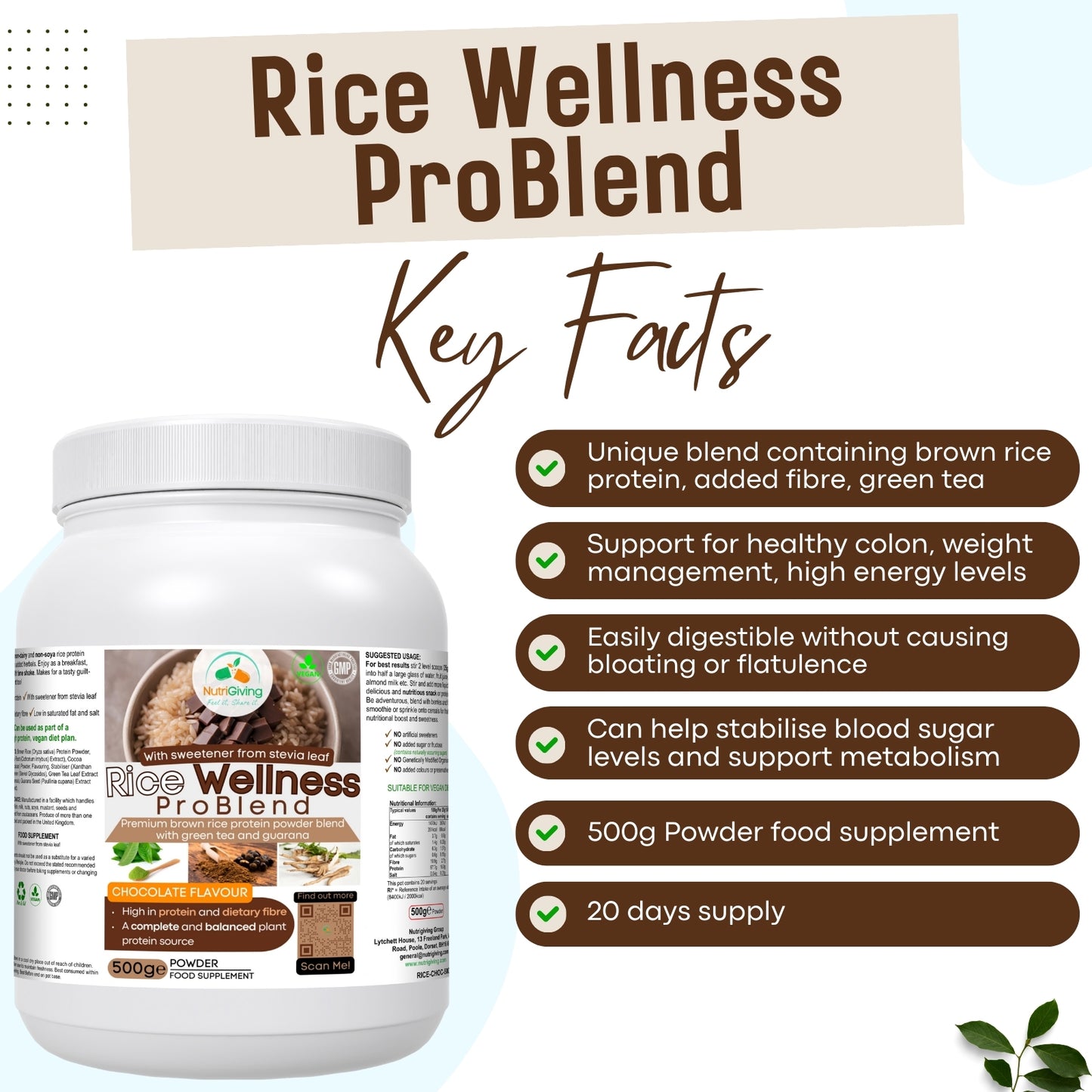 Rice Wellness ProBlend (Chocolate Flavour)