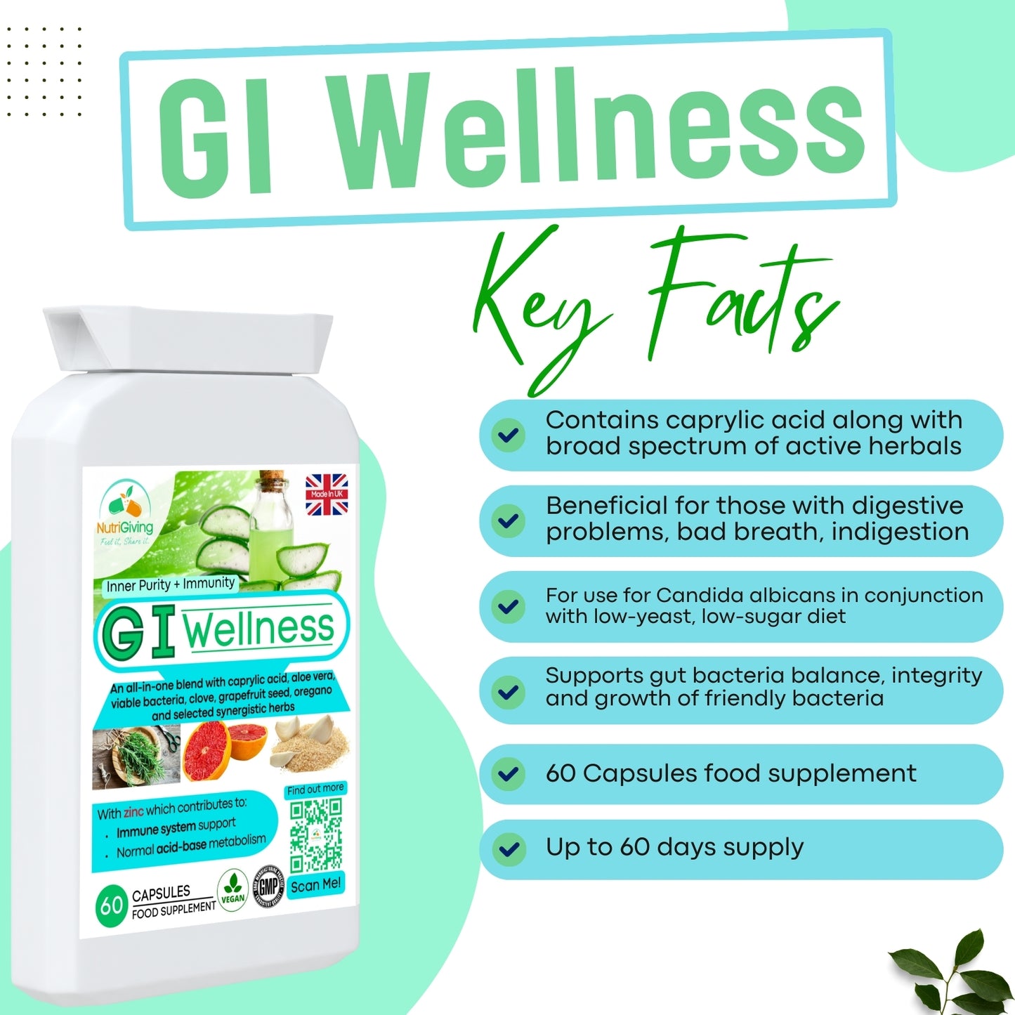 GI Wellness